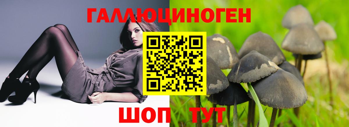 Галлюциногенные грибы Cubensis  Вход с VPN  Белореченск  Галлюциногенные грибы Psilocybine cubensis 
